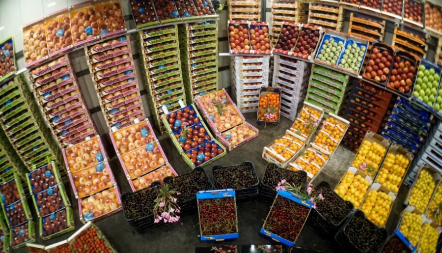 Incofruit Hellas: Ανησυχία στους παραγωγούς για τους δασμούς Trump – Oι εξαγωγές φρούτων και λαχανικών στις ΗΠΑ το 2024