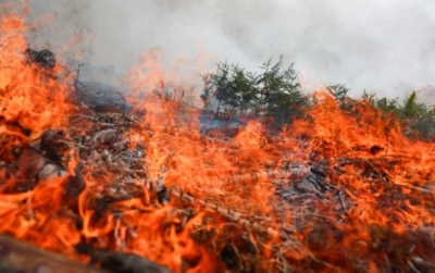 Πύρινος εφιάλτης σε Γαλλία και Ισπανία – Πάνω από 320.000 πολίτες έχουν εκκενώσει τις κατοικίες τους