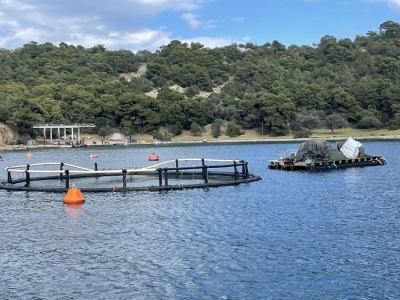 Kαμπανάκι κινδύνου κρούει η Ακταία για τις υδατοκαλλιέργειες