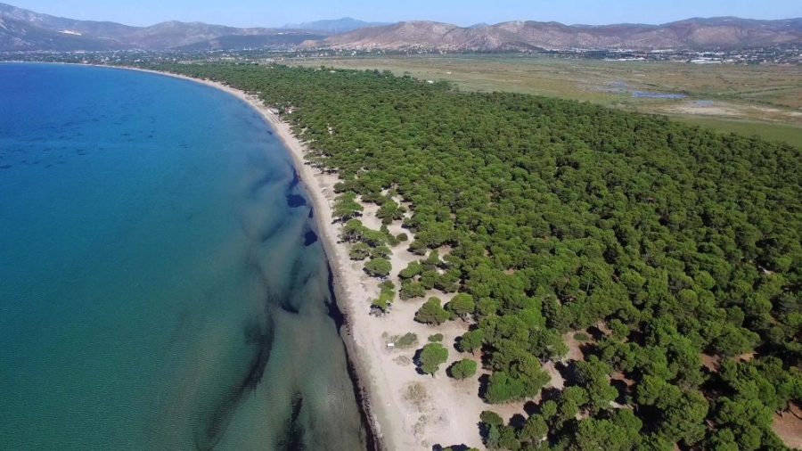 Κατεπείγουσα εισαγγελική έρευνα για παράνομες κατασκευές... πολυτελείας στο πάρκο του Σχινιά