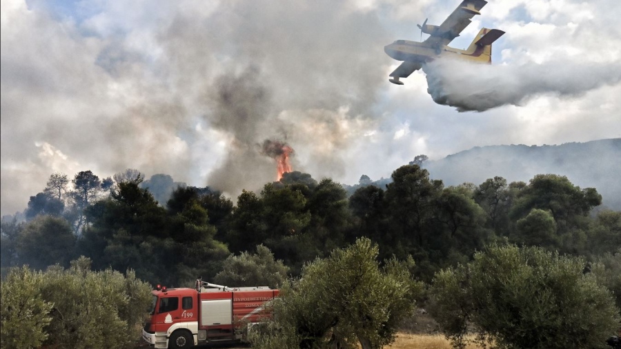 Λαύριο: Οριοθετήθηκε η πυρκαγιά στην περιοχή Παλιοκαμάριζα - ΄Ηχησε το 112