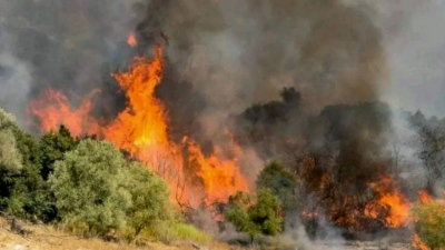 Μεγάλη φωτιά στη Μεσσηνία - Σηκώθηκαν 4 αεροσκάφη της Πυροσβεστικής
