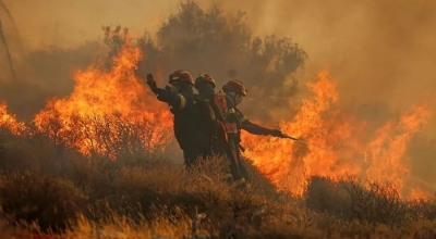 Πυροσβεστική: Στις 41 οι αγροτοδασικές πυρκαγιές το τελευταίο 24ωρο