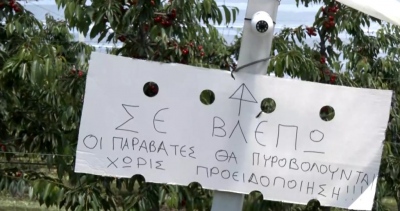 Πέλλα - Ημαθία: Αγανακτισμένοι οι αγρότες από τις κλοπές της παραγωγής τους