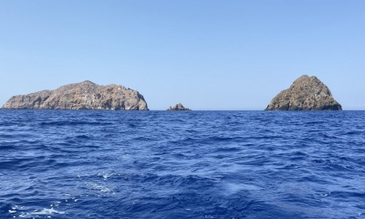 Το WWF «χαιρετίζει» τη δημιουργία των θαλάσσιων πάρκων από την κυβέρνηση Μητσοτάκη