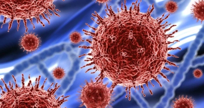 Γιατί η μετάλλαξη Omicron διασπείρεται με ταχύτητα φωτός και πως αποφεύγει την ανοσία; - Επτά έρευνες απαντούν