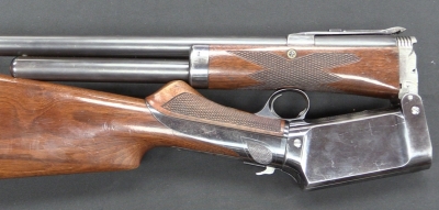 BURGESS 1895: Ξεχασμένη ιδιοφυία
