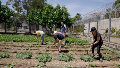 Social Farming 360°: Ένα ντοκιμαντέρ για τη δύναμη της εκπαίδευσης και της κοινωνικής επανένταξης