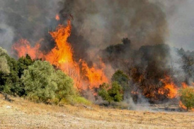 Πυρκαγιά στον Γερολιμένα Μάνης - Ξέσπασε από στύλο της ΔΕΗ