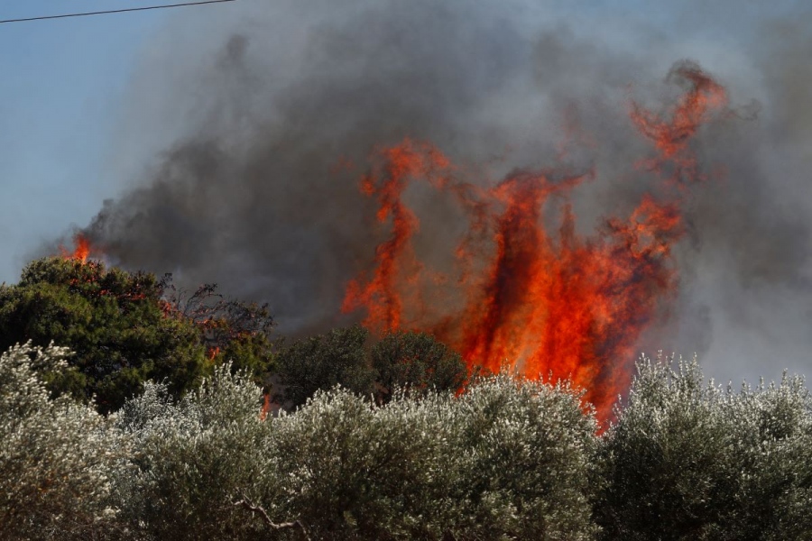 Πυρκαγιά ξέσπασε σε υπαίθριο χώρο με απορρίμματα στην Ύδρα - Επιχειρούν εναέρια μέσα