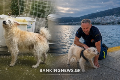 Συγκλονιστική διάσωση στην Καβάλα: Πυροσβέστης έσωσε σκυλάκι λίγο πριν πνιγεί - «Είναι ήρωας», λέει στο ΒΝ ο ιδιοκτήτης του