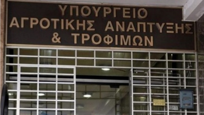 Υπό εξέταση η εφαρμογή πιλοτικής δράσης στοχευμένης εξαλίευσης λαγοκέφαλων με οικονομικό κίνητρο - Ο σχεδιασμός