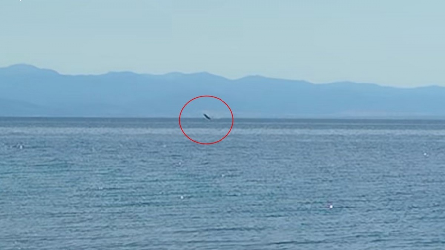 Νέα εμφάνιση φάλαινας στον Παγασητικό (vid)