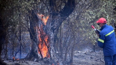 Φωτιά στις Βελιτσές Αχαΐας σε δασική έκταση