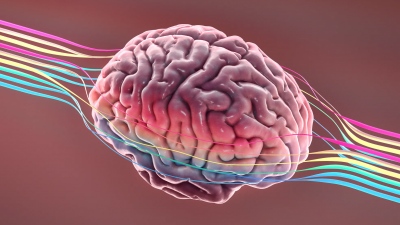 Οι επιστήμονες «ξεκλείδωσαν» το Alzheimer: Πώς προλαμβάνεται το 45% των περιστατικών