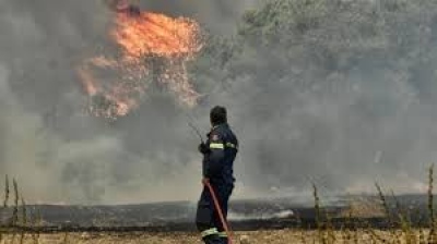 Οριοθετήθηκε η πυρκαγιά στην Παλαιά Φώκαια
