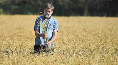Ultimately, Greek farmers are 100% right - To buy a 3 euro coffee they have to sell 16 kgs of wheat - Paranoia