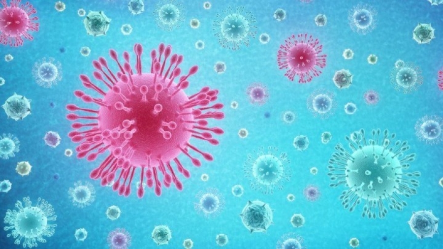 Όσα πρέπει να γνωρίζετε για την Delmicron και τη Florona