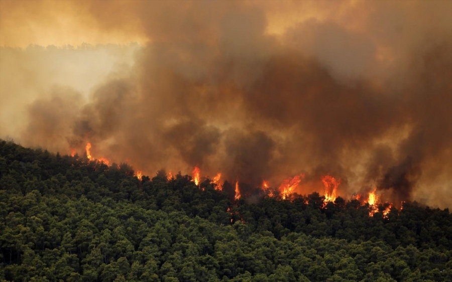 Πάνω από 30 πυρκαγιές στην Ελλάδα σε ένα 24ωρο - Σκληρή μάχη των πυροσβεστών με 6