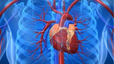 Αξονική στεφανιογραφία ή stress echo για την αρχική διερεύνηση της στεφανιαίας νόσου;