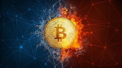 Extreme carnage: Cryptocurrency investors lose $800 billion in just one month - Japan's role