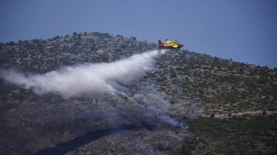 Φωτιά στην Επίδαυρο - Καίγονται χόρτα κοντά στο χωριό Αδάμι - Επιχειρούν 60 πυροσβέστες, 4 εναέρια μέσα