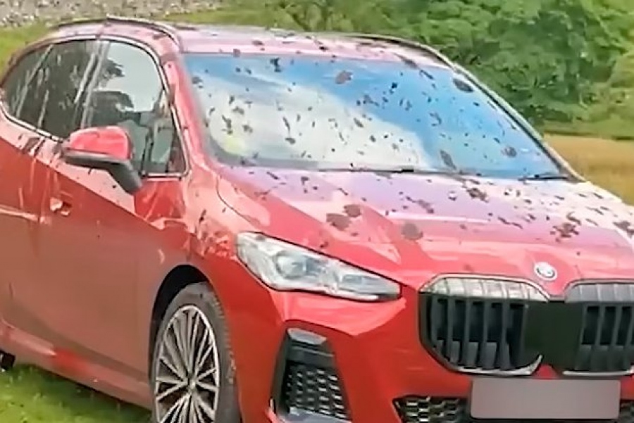 «Ήρωας!»... Πάει η Jaguar - Αγρότης περιέλουσε 20 πολυτελή αυτοκίνητα με κοπριά... Τι συνέβη και έγινε έξαλλος