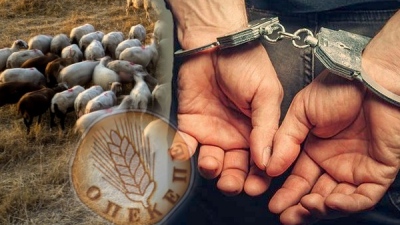 Το BN αποκαλύπτει τον εμπαιγμό: Ούτε Φραπές ούτε Χασάπης -  Αυτοί συνελήφθησαν στην Κρήτη για το σκάνδαλο του ΟΠΕΚΕΠΕ