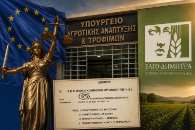 EU forces 4.2 million fine on Greece as officials pressure Mitsotakis to make taxpayers foot the bill