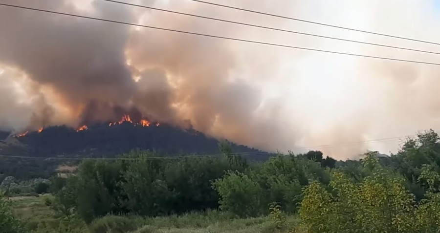 Στάχτη 1,6 εκατ. στρέμματα - Ανεξέλεγκτη για 14η ημέρα η πυρκαγιά στον Έβρο - Σε επιφυλακή το Σουφλί, χάνεται η Δαδιά