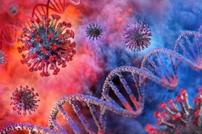 ΗΠΑ: Η πανδημία COVID-19 οδήγησε σε μεγάλη μείωση το προσδόκιμο ζωής