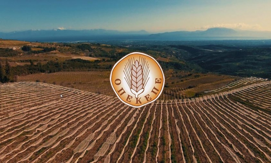 Πανικός στους βουλευτές – Η Ευρωπαϊκή Εισαγγελία έχει ανοίξει τηλεφωνικές συνομιλίες για το σκάνδαλο στον ΟΠΕΚΕΠΕ