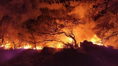 Εθνικό Αστεροσκοπείο: Πάνω από 507.000 στρέμματα έγιναν στάχτη από τις φωτιές του Ιουλίου