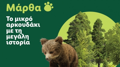Η Lidl Ελλάς στήριξε την επιτυχή επανένταξη της Μάρθας στη φύση, σε συνεργασία με τον ΑΡΚΤΟΥΡΟ