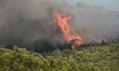Συναγερμός στην Πυροσβεστική – Και τρίτη φωτιά, μέσα σε ένα 24ωρο, καίει την πολύπαθη Κάρυστο