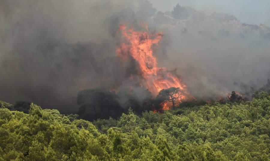Συναγερμός στην Πυροσβεστική – Και τρίτη φωτιά, μέσα σε ένα 24ωρο, καίει την πολύπαθη Κάρυστο