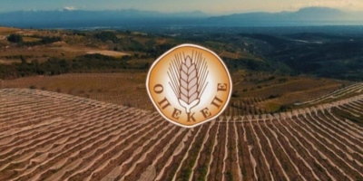 ΟΠΕΚΕΠΕ: Μεγάλη αστυνομική επιχείρηση του ελληνικού FBI στην Κρήτη - 15 συλλήψεις για παράνομες επιδοτήσεις