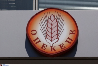 Βρώμα και δυσωδία - Απειλούν να σκοτώσουν αυτόν που αποκάλυψε τα σκάνδαλα του ΟΠΕΚΕΠΕ - Βάφτιζαν αλλοδαπούς... μεγαλοκτηνοτρόφους