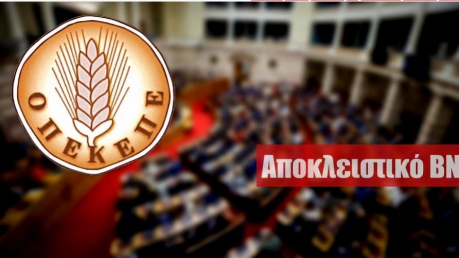 Ποιος βόλεψε τον περιβόητο...«φραπέ» του ΟΠΕΚΕΠΕ; - Πού και πότε έγινε...