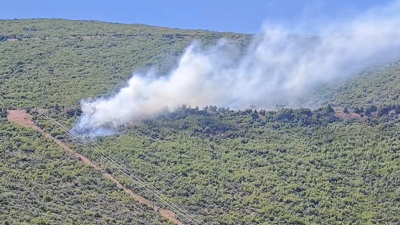 Συναγερμός στην Πυροσβεστική -  Πύρινος εφιάλτης στη Βοιωτία, απειλούνται σπίτια, εκκένωση μέσω 112 - Φωτιά και σε Αιτωλοακαρνανία