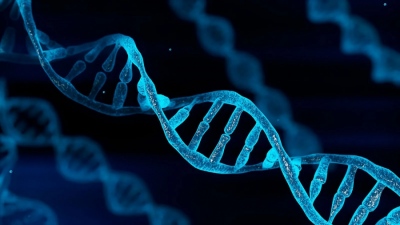 DNA editing in embryos - The path opens for a 