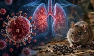 Στήνουν σκηνικό τρόμου: Ο ιός hantavirus συσσωρεύει μεταλλάξεις, θα γίνει απίστευτα μεταδοτικός – H Moderna ... ετοιμάζει εμβόλιο