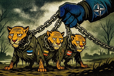NATO's next 