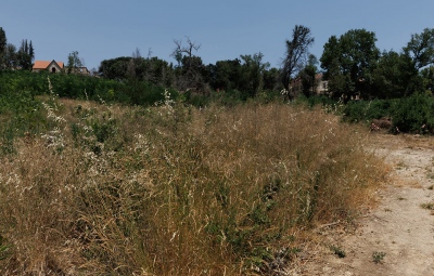 Ακαθάριστα οικόπεδα: Ξεκίνησαν οι έλεγχοι μετά τη λήξη της προθεσμίας – Βαριά τα πρόστιμα