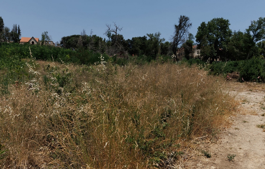 Ακαθάριστα οικόπεδα: Ξεκίνησαν οι έλεγχοι μετά τη λήξη της προθεσμίας – Βαριά τα πρόστιμα