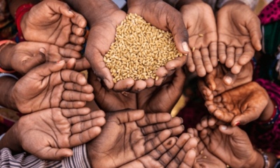Global food crisis alert: Prices hit three-year high as vegetable oil costs skyrocket