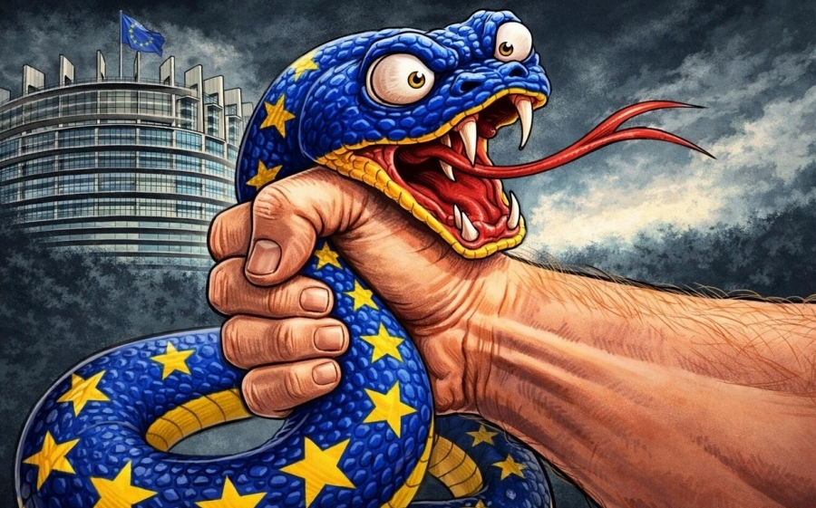 The new 'Make Europe Great Again' movement poised for election sweep: Brussels 'snakes' face historic defeat