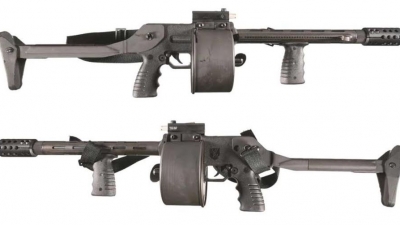 ARMSEL STRIKER 12