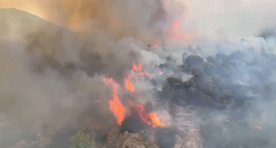 Σε ύφεση η πυρκαγιά στο Σκάλωμα Λουτρακίου - Ξεκίνησε από κοπή βλάστησης με χορτοκοπτικό μηχάνημα