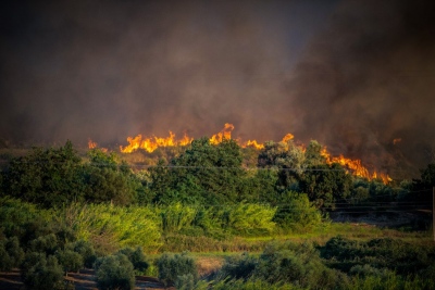 Πυρκαγιά ξέσπασε στη Στεφάνη Πρέβεζας - Με ισχυρές δυνάμεις επιχειρεί η πυροσβεστική